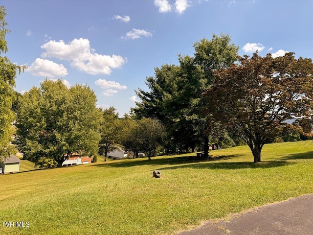 surrounding community featuring a lawn