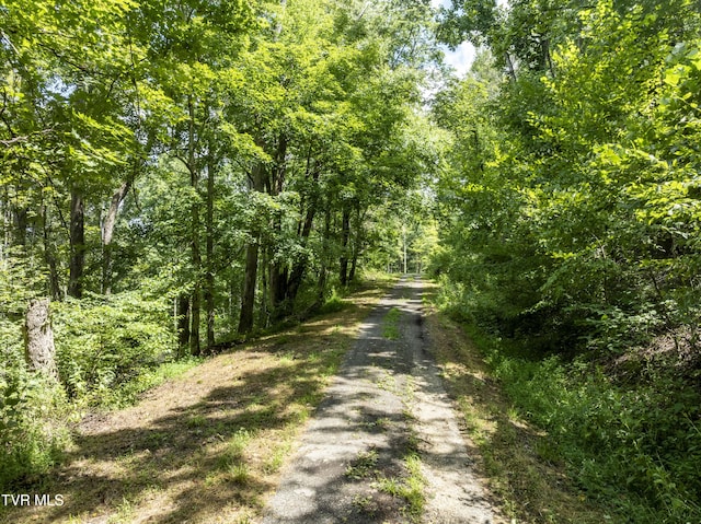 Listing photo 2 for LOT14 N Of Draft Rd, Butler TN 37640