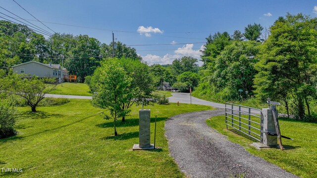 31232 Hollyfield Rd, Damascus, VA 24236 - photo 44