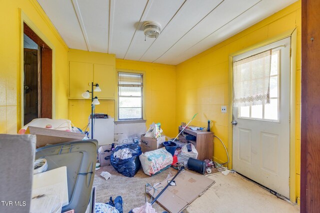 miscellaneous room featuring plenty of natural light