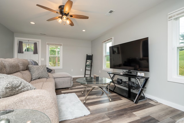 living room with ceiling fan and light hardwood / wood-style flooring