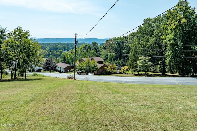 view of yard featuring a mountain view