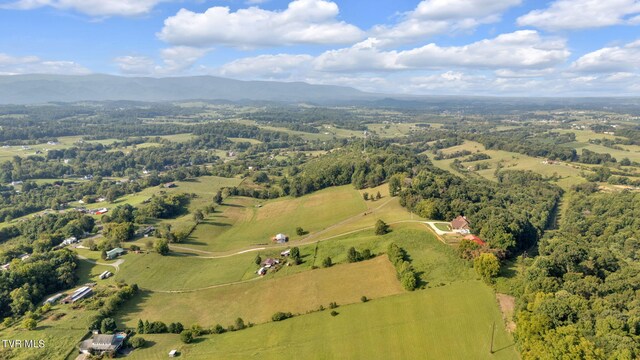 birds eye view of property featuring a rural view and a mountain view