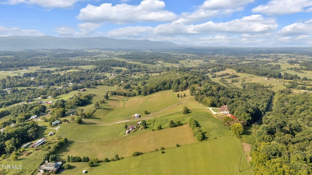 birds eye view of property featuring a mountain view