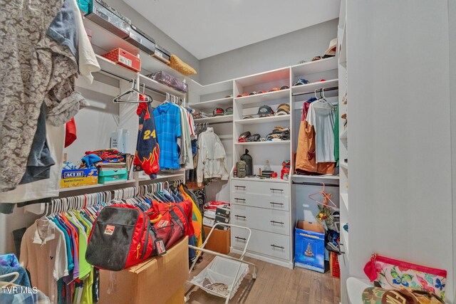 walk in closet with light wood-type flooring