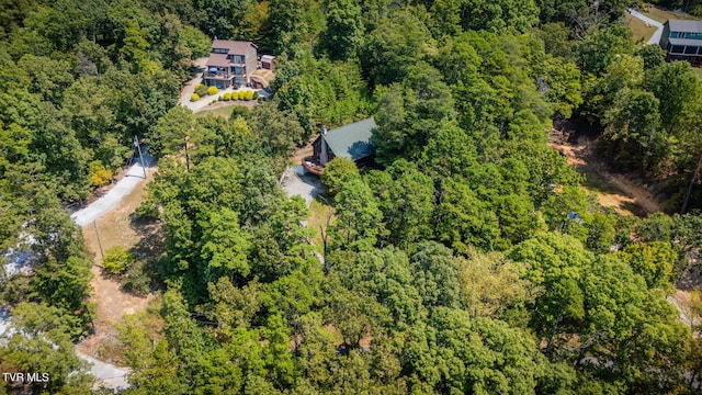 bird's eye view with a forest view