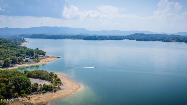 water view featuring a mountain view