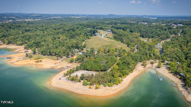 bird's eye view featuring a water view and a forest view