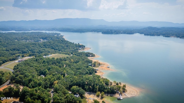 birds eye view of property featuring a view of trees and a water and mountain view