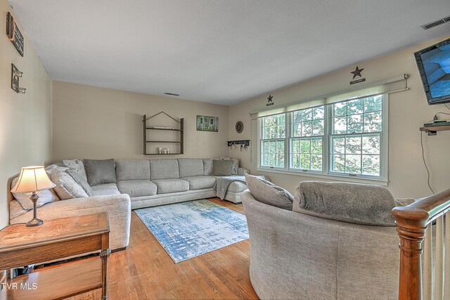 living room featuring wood-type flooring