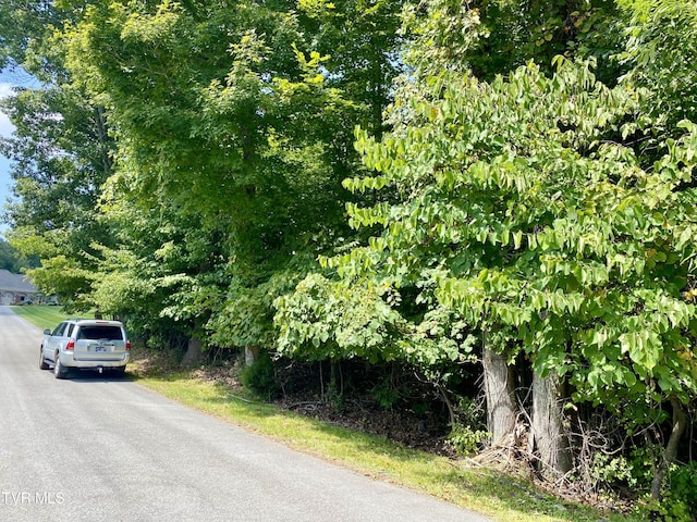 1234 Ridgetop Trl, Kingsport, TN 37664 - photo 8