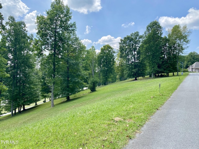 1234 Ridgetop Trl, Kingsport, TN 37664 - photo 6