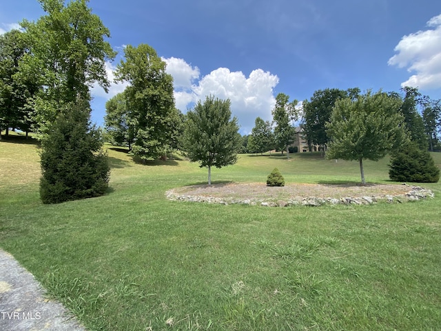 1234 Ridgetop Trl, Kingsport, TN 37664 - photo 2