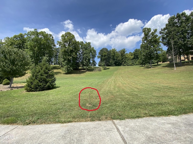 1234 Ridgetop Trl, Kingsport, TN 37664 - photo 7