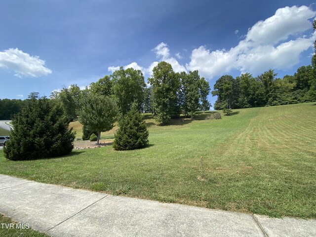 1234 Ridgetop Trl, Kingsport, TN 37664 - photo 10