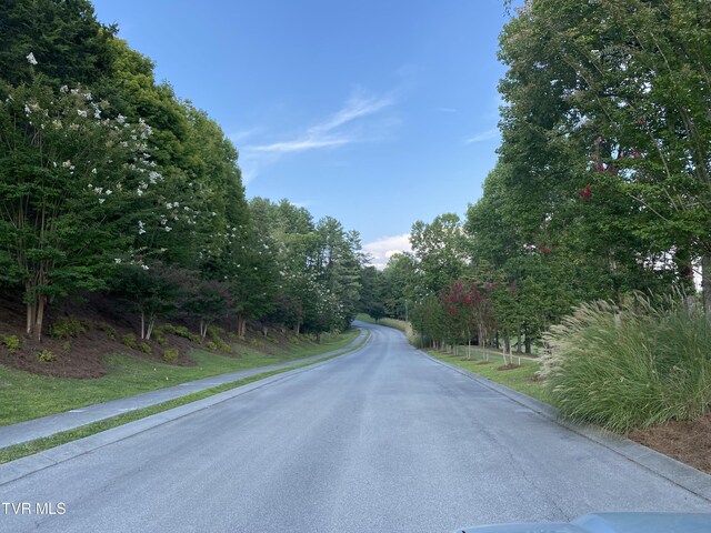 1234 Ridgetop Trl, Kingsport, TN 37664 - photo 11