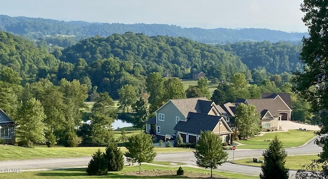 1234 Ridgetop Trl, Kingsport, TN 37664 - photo 9