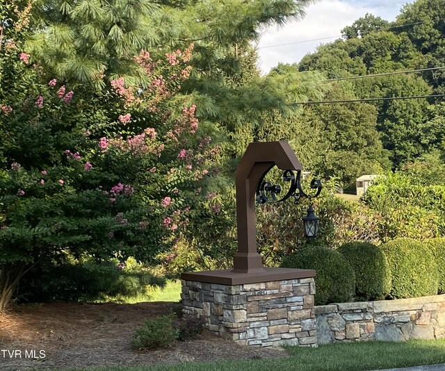 1234 Ridgetop Trl, Kingsport, TN 37664 - photo 15