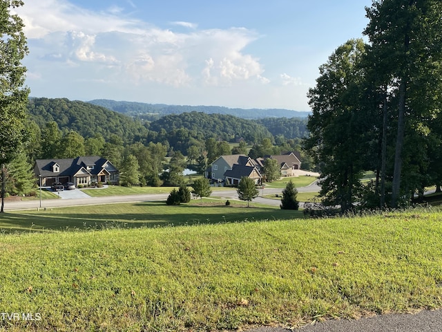 1234 Ridgetop Trl, Kingsport, TN 37664 - photo 1