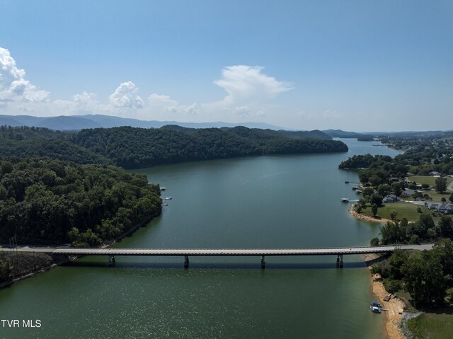 water view with a mountain view