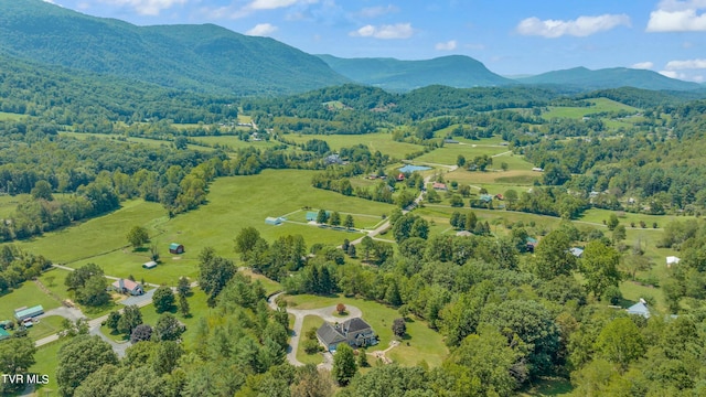 birds eye view of property featuring a mountain view