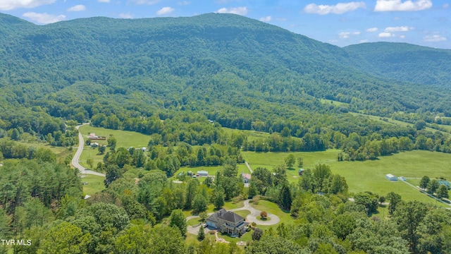 aerial view with a mountain view