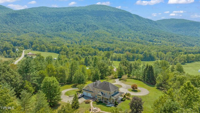 aerial view with a mountain view