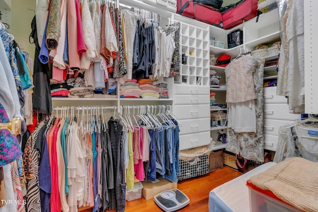 spacious closet with wood-type flooring