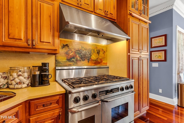 kitchen with dark hardwood / wood-style flooring and stainless steel stove