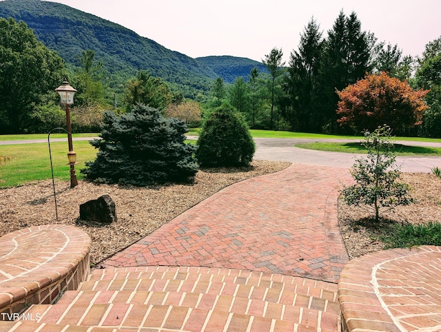 view of community featuring a yard and a mountain view