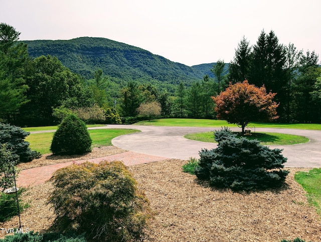 view of community featuring a mountain view and a yard