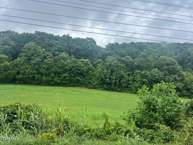 Listing photo 2 for TBD Rheatown Rd, Chuckey TN 37641