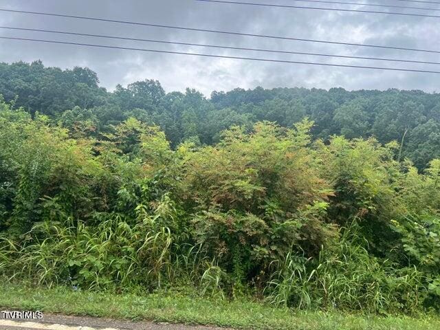 Listing photo 3 for TBD Rheatown Rd, Chuckey TN 37641