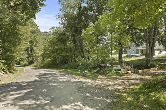 1802 Winchester Rd, Shady Valley, TN 37688 - photo 17