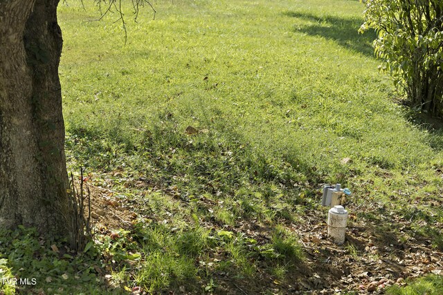 1802 Winchester Rd, Shady Valley, TN 37688 - photo 22