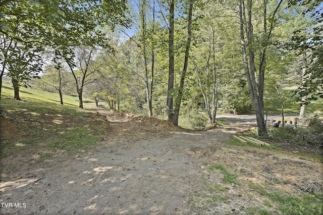 1802 Winchester Rd, Shady Valley, TN 37688 - photo 27