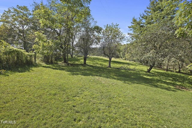 1802 Winchester Rd, Shady Valley, TN 37688 - photo 29