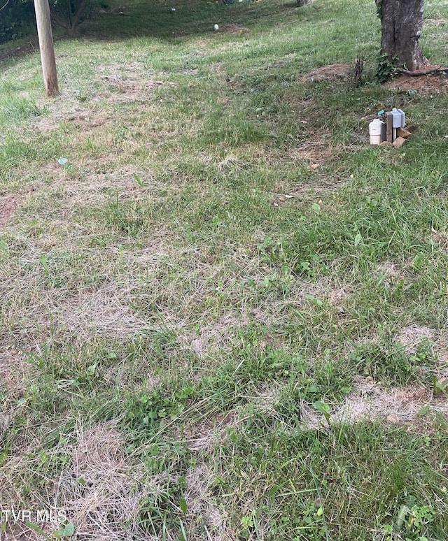 1802 Winchester Rd, Shady Valley, TN 37688 - photo 61