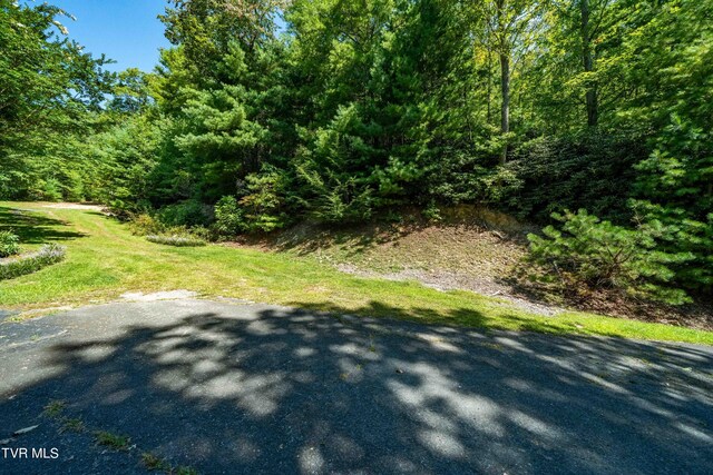 Listing photo 2 for 000 Ivywood Ln, Mountain City TN 37683