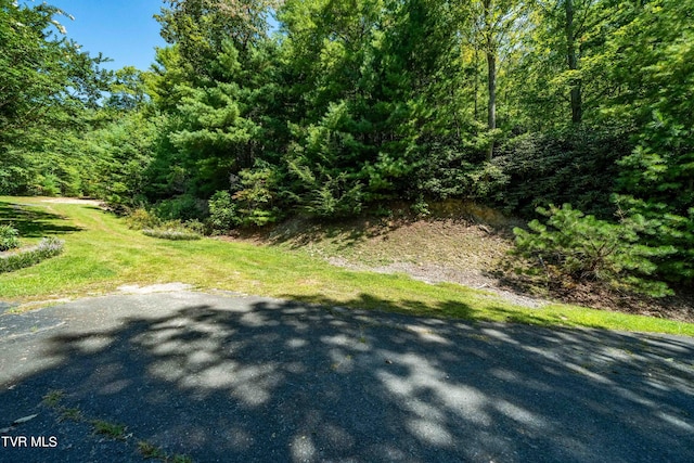 000 Ivywood Ln, Mountain City, TN 37683 - photo 2