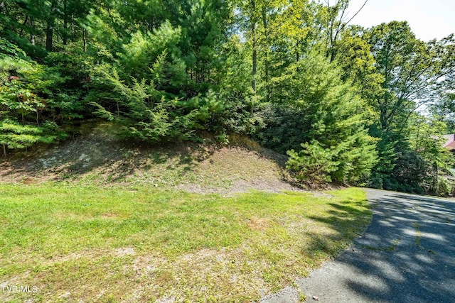 000 Ivywood Ln, Mountain City, TN 37683 - photo 3
