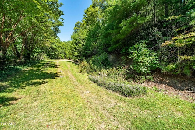 000 Ivywood Ln, Mountain City, TN 37683 - photo 4