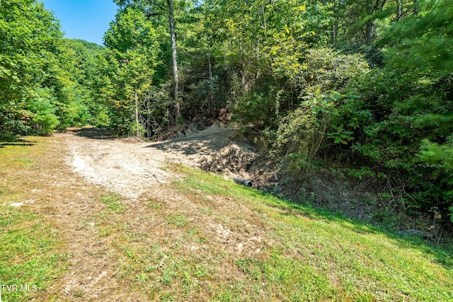 000 Ivywood Ln, Mountain City, TN 37683 - photo 5