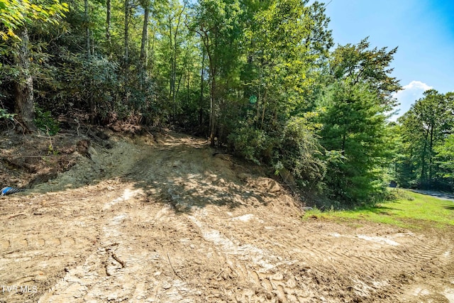 000 Ivywood Ln, Mountain City, TN 37683 - photo 6