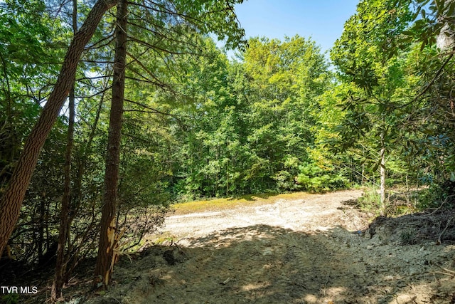 000 Ivywood Ln, Mountain City, TN 37683 - photo 8