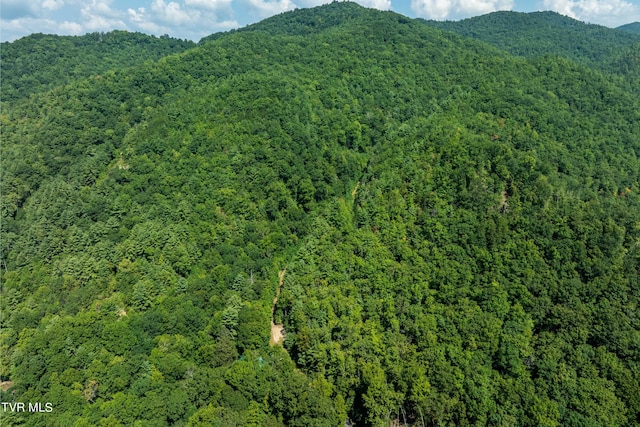 000 Ivywood Ln, Mountain City, TN 37683 - photo 18
