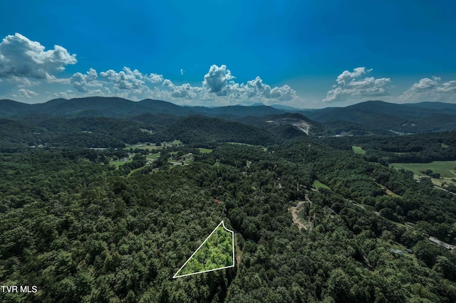 000 Ivywood Ln, Mountain City, TN 37683 - photo 16