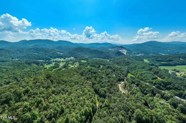 000 Ivywood Ln, Mountain City, TN 37683 - photo 19
