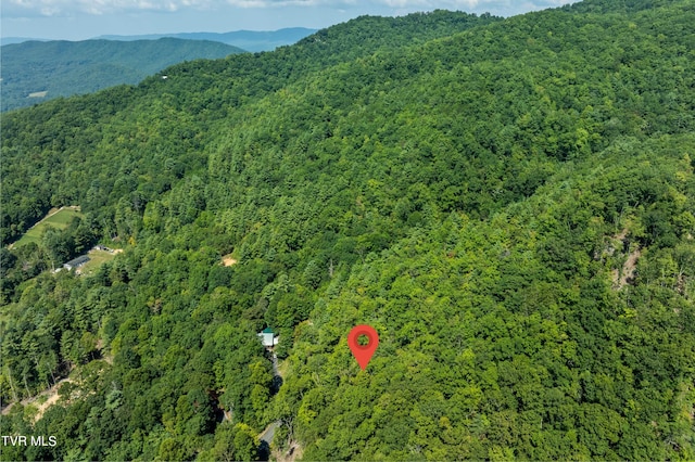 000 Ivywood Ln, Mountain City, TN 37683 - photo 26