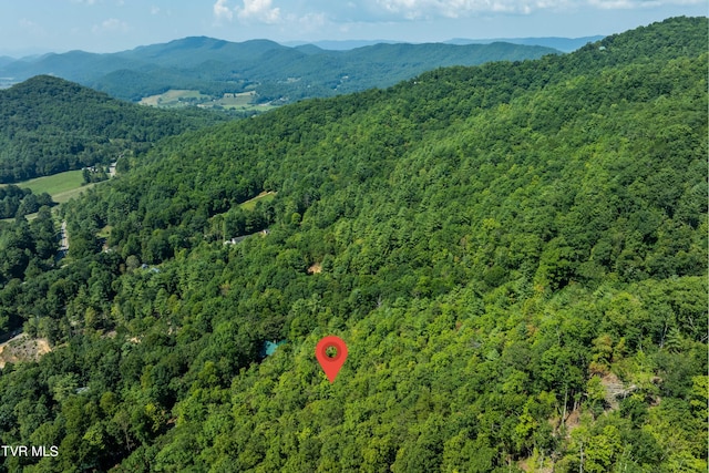 000 Ivywood Ln, Mountain City, TN 37683 - photo 28